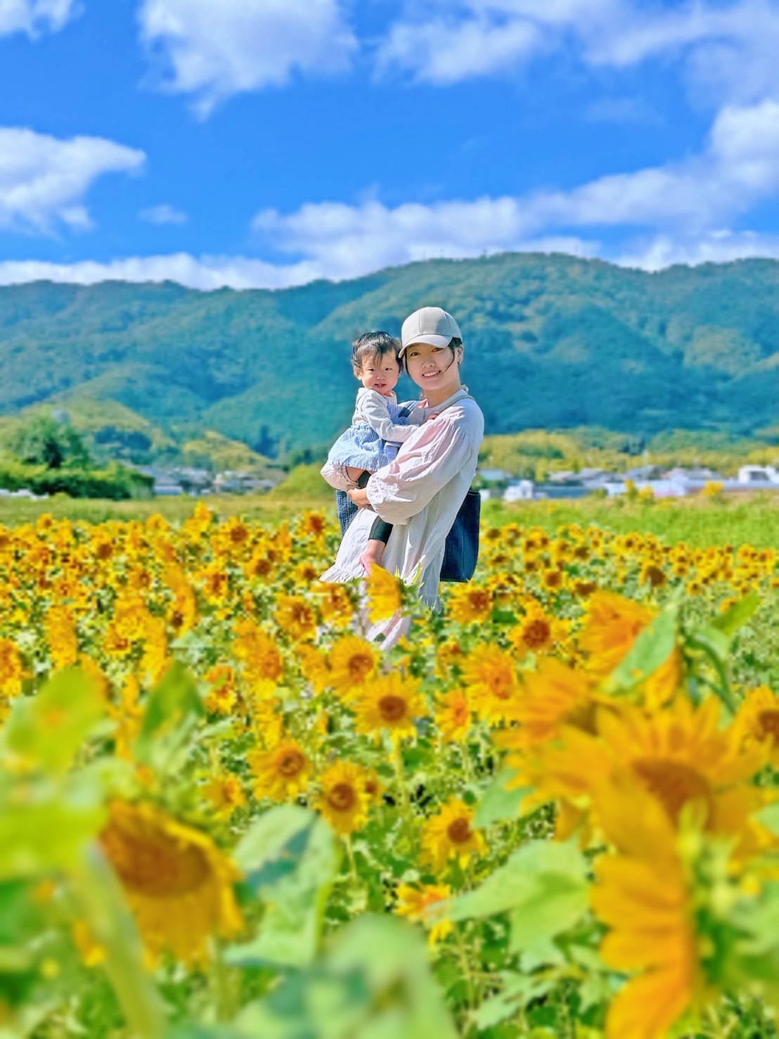 「大原野のひまわり」