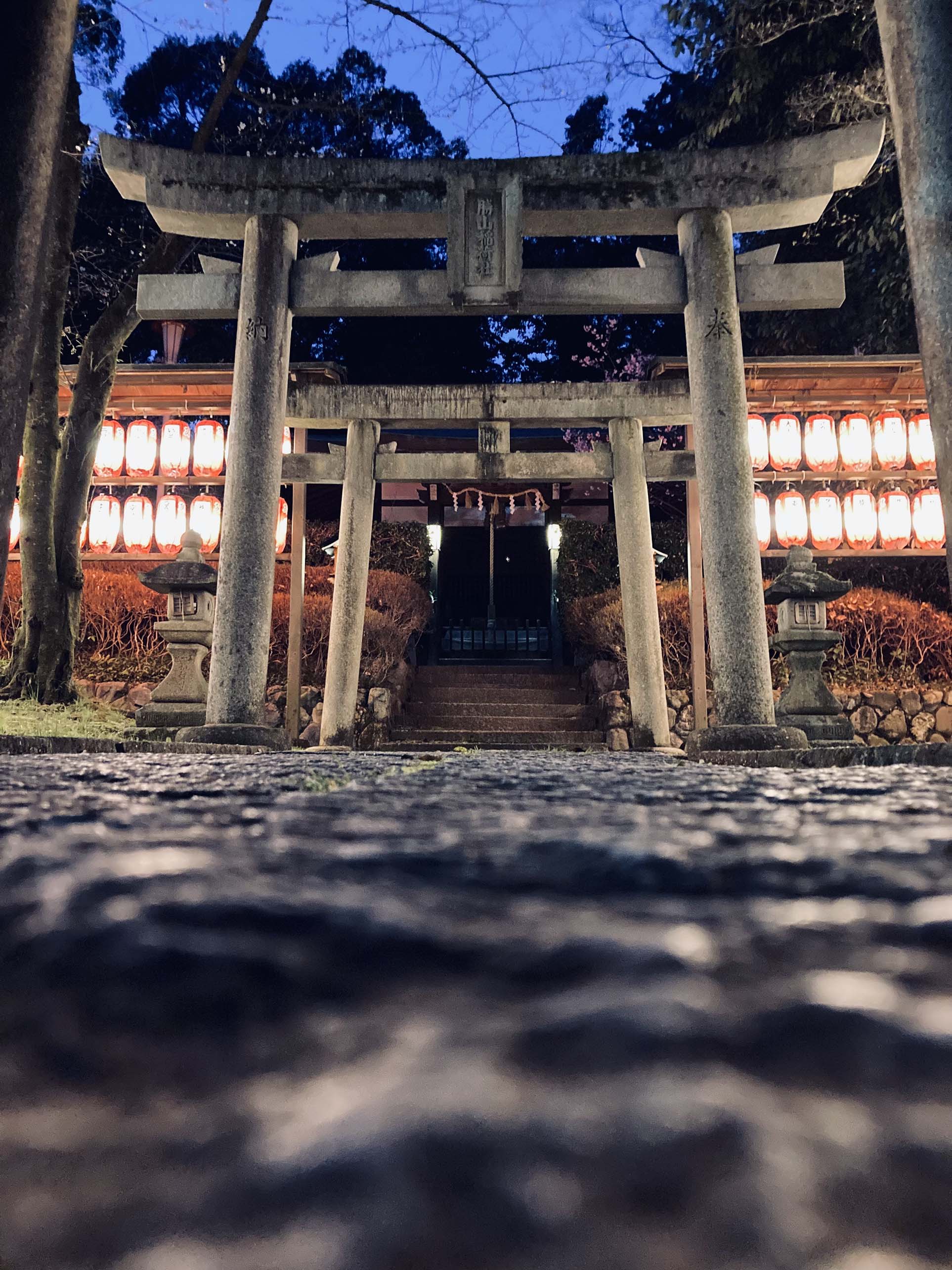 「夜の向日神社」