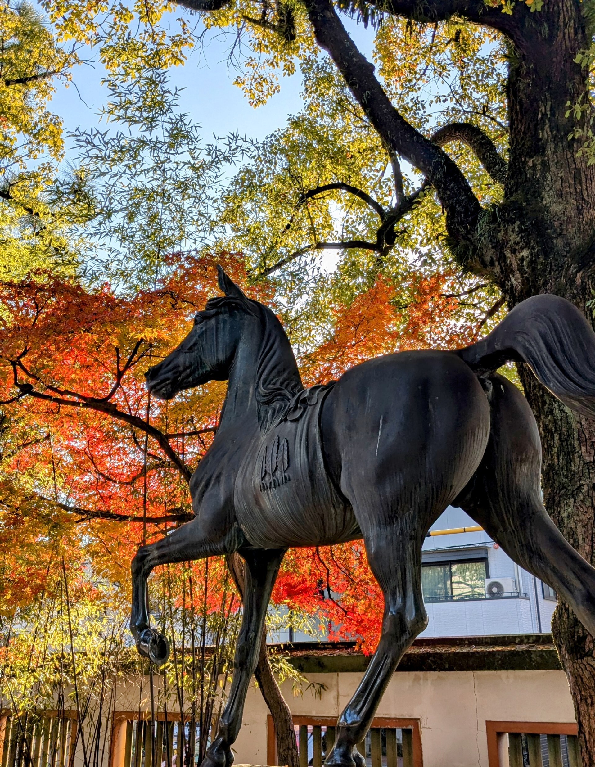 「お馬さんも紅葉狩り」