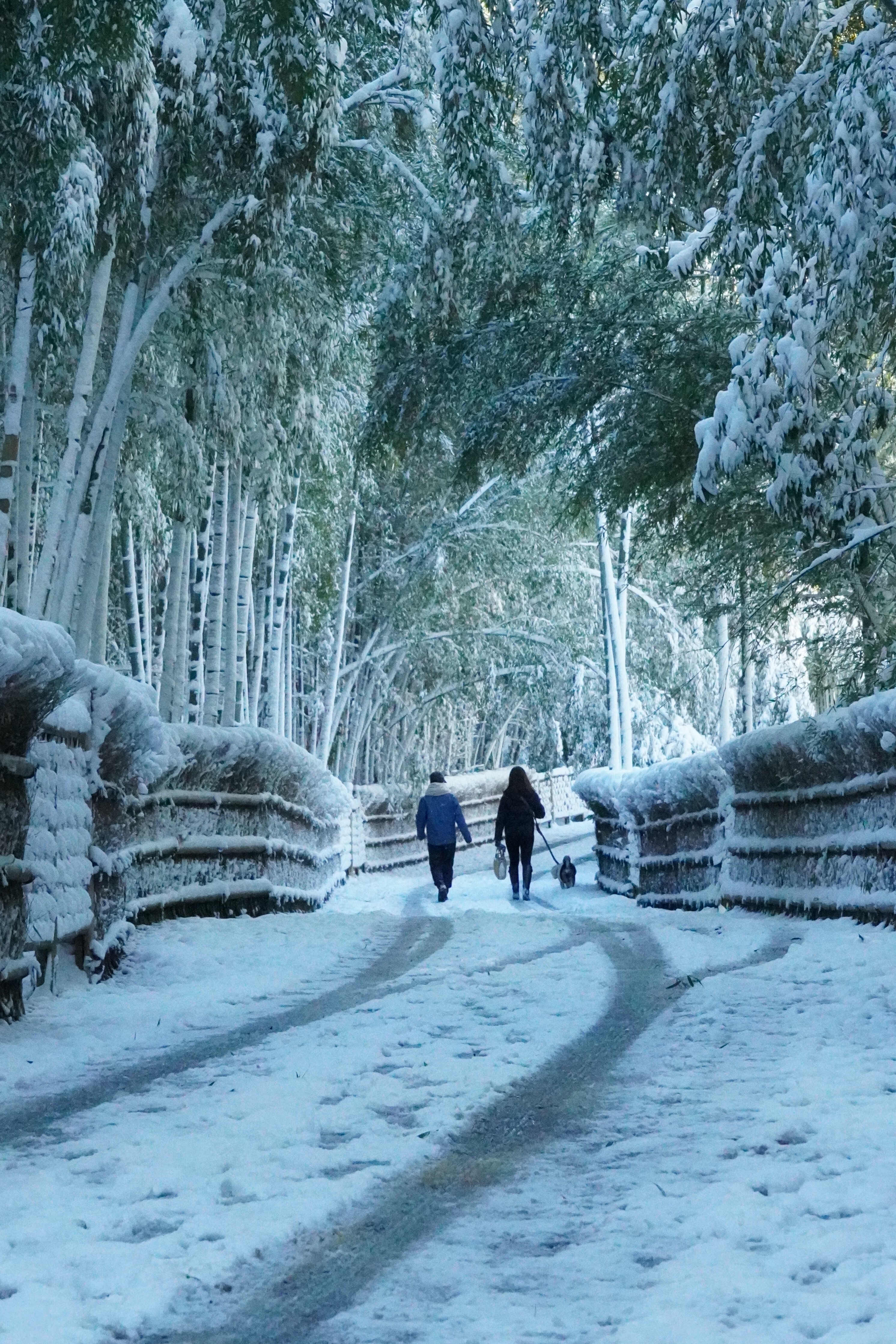 「竹の径雪景色」