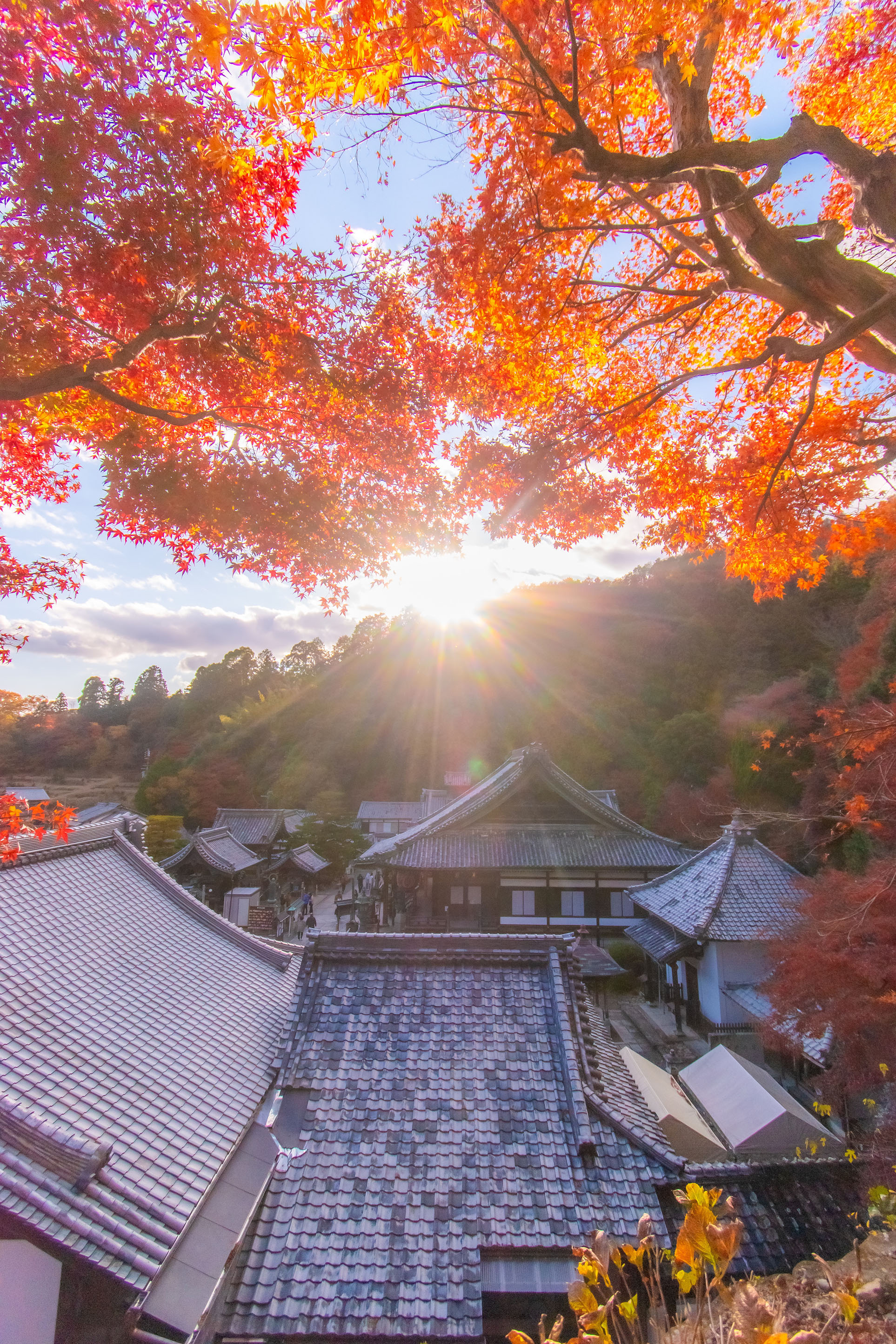 「夕暮れの楊谷寺」